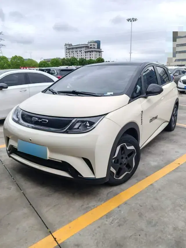 2021 BYD Dolphin BEV 44.9KWH