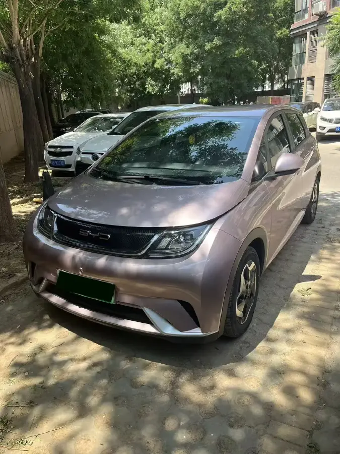 2021 BYD Dolphin BEV 44.9KWH