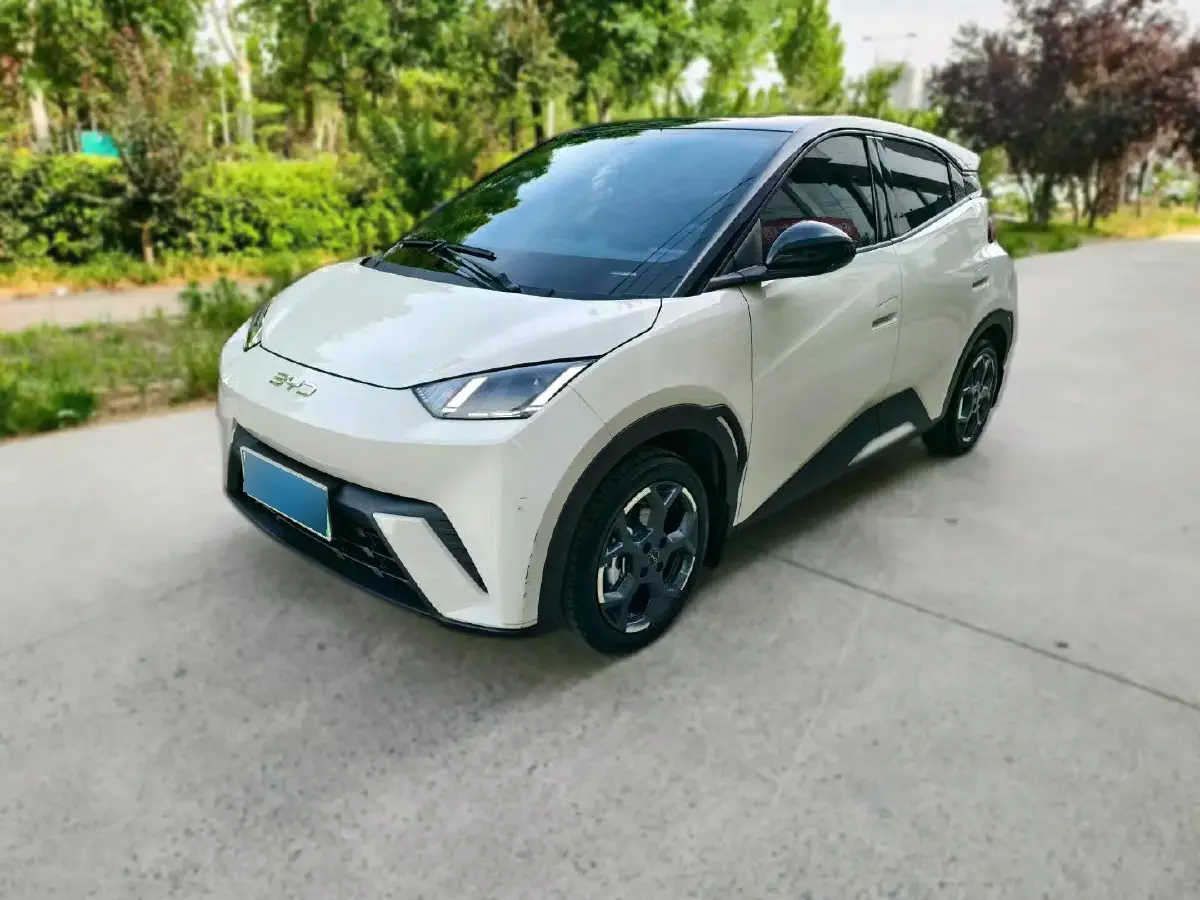 2024 BYD Seagull BEV 30.08KWH