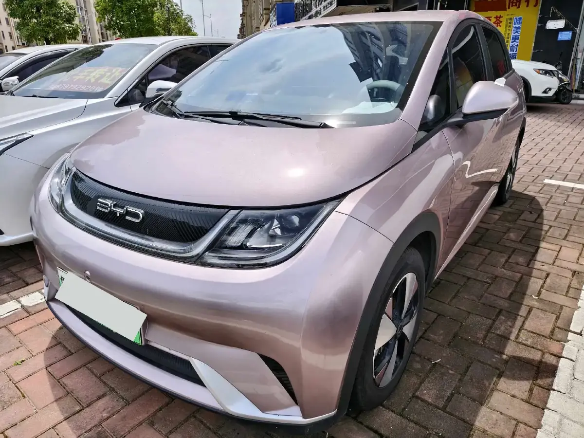 2023 BYD Dolphin BEV 44.928KWH