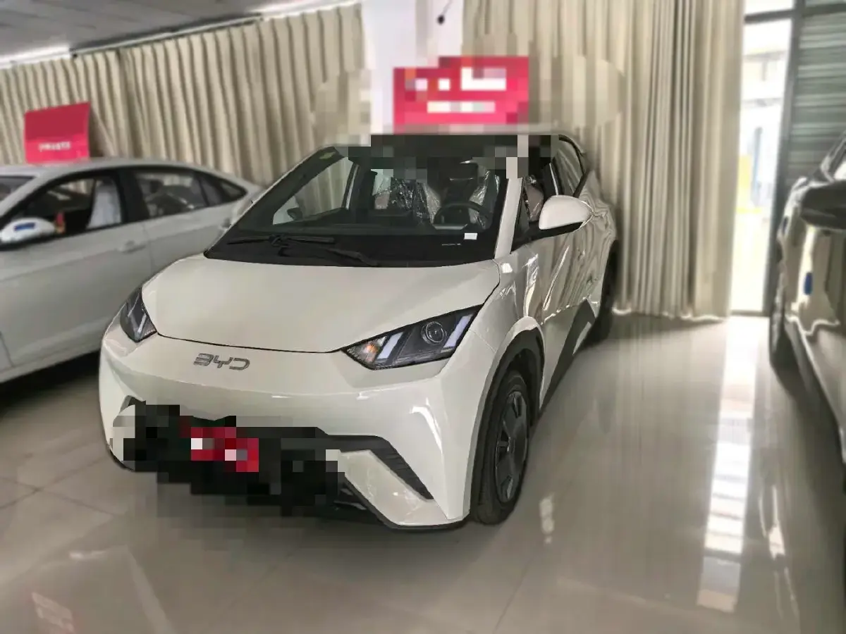 2025 BYD Seagull BEV 30.08KWH