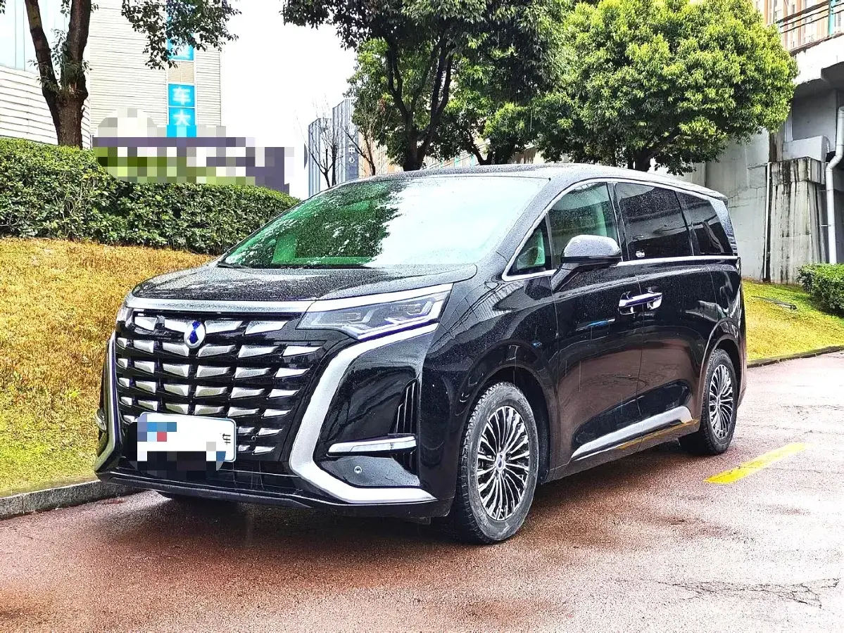 2022 Denza D9 1.5T 139HP L4 E-CVT PHEV 40.06KWH