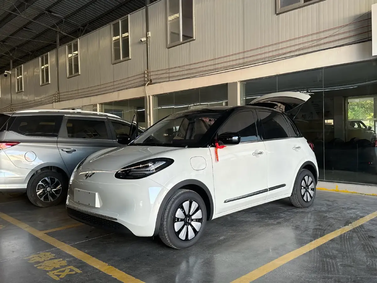2024 WuLing BinGuo BEV 31.9KWH