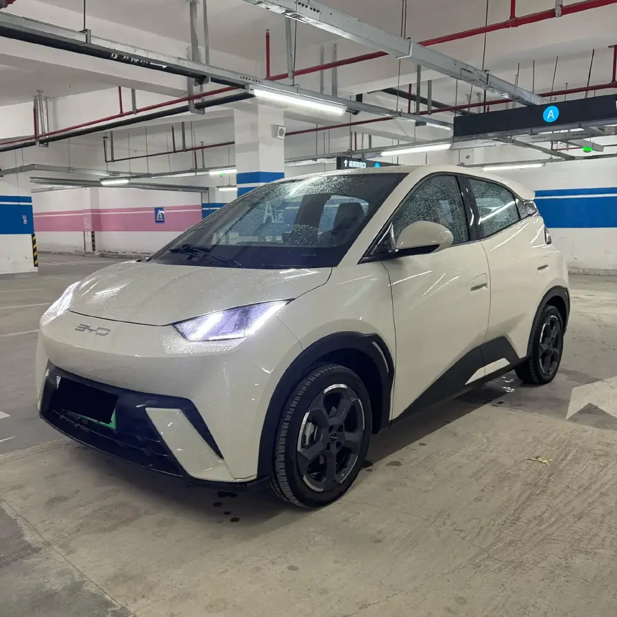 2023 BYD Seagull BEV 38.88KWH
