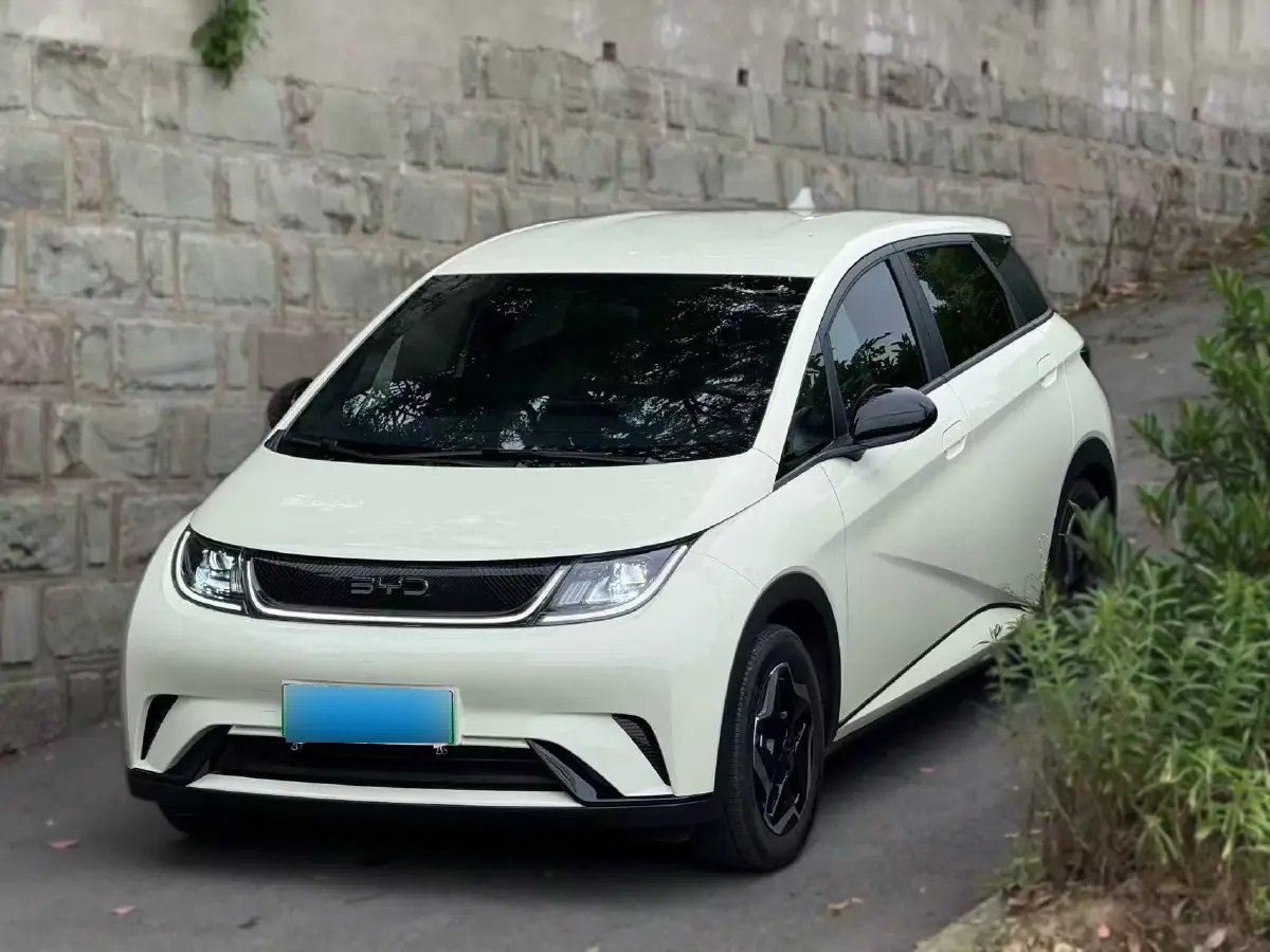 2025 BYD Dolphin BEV 44.928KWH
