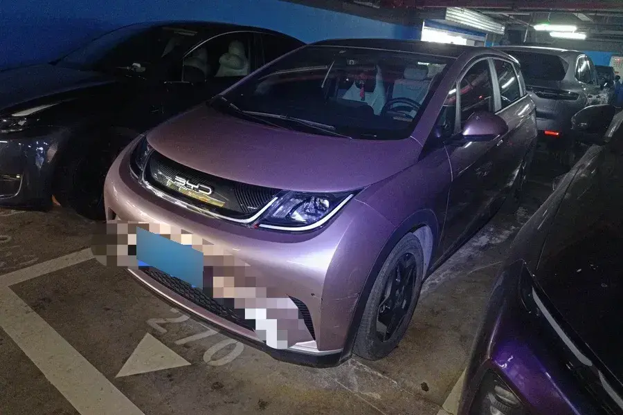 2021 BYD Dolphin BEV 44.9KWH