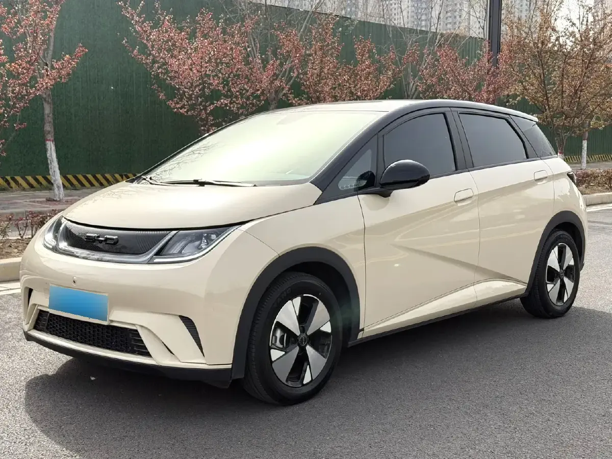 2021 BYD Dolphin BEV 44.9KWH