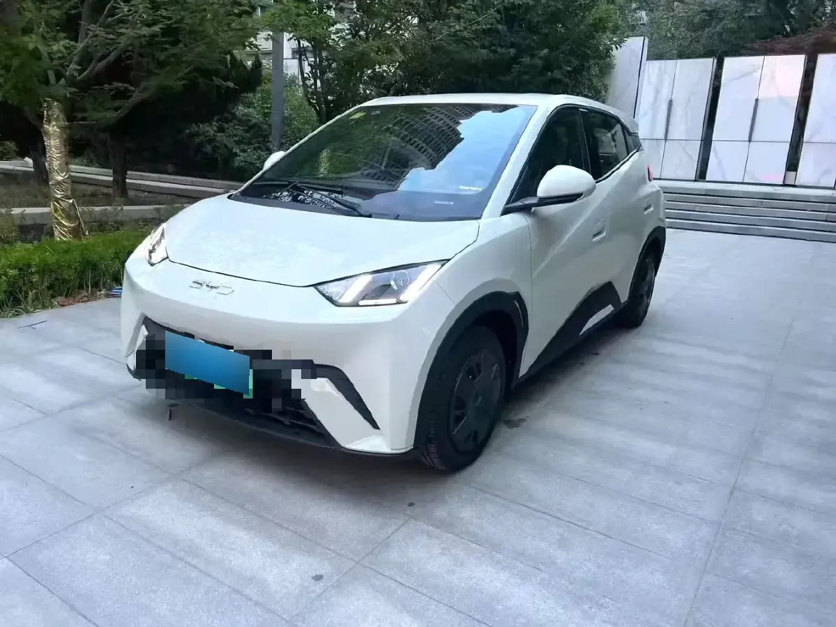 2025 BYD Seagull BEV 30.08KWH