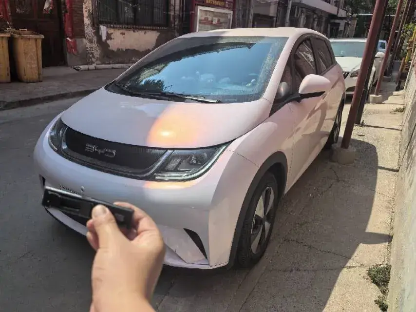 2023 BYD Dolphin BEV 44.928KWH