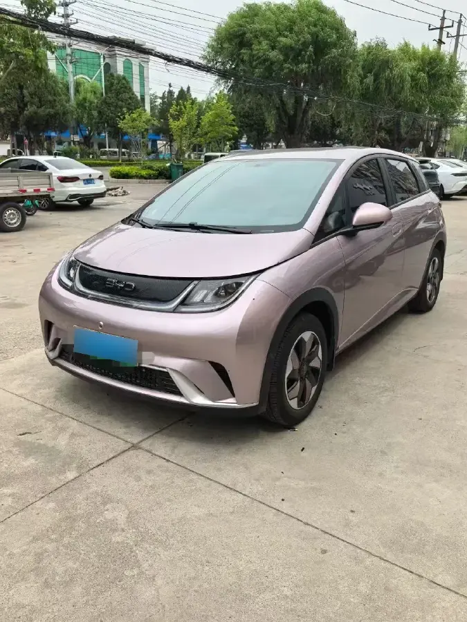 2021 BYD Dolphin BEV 44.9KWH