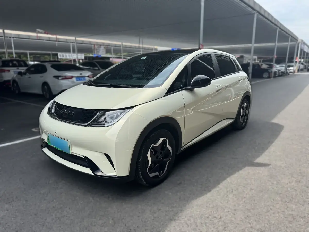 2021 BYD Dolphin BEV 44.9KWH