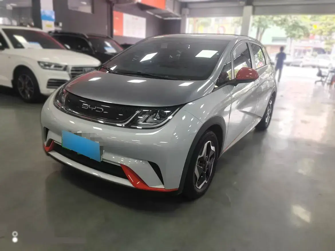 2021 BYD Dolphin BEV 44.9KWH