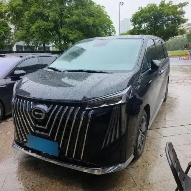 2024 GAC Trumpchi M8 2.0T 252HP L4 8AT