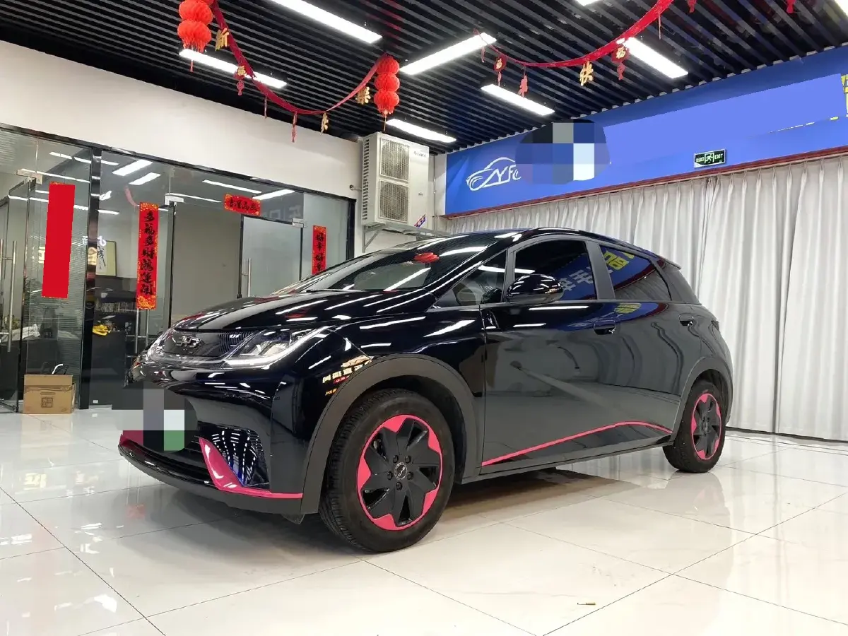 2024 BYD Dolphin BEV 44.928KWH