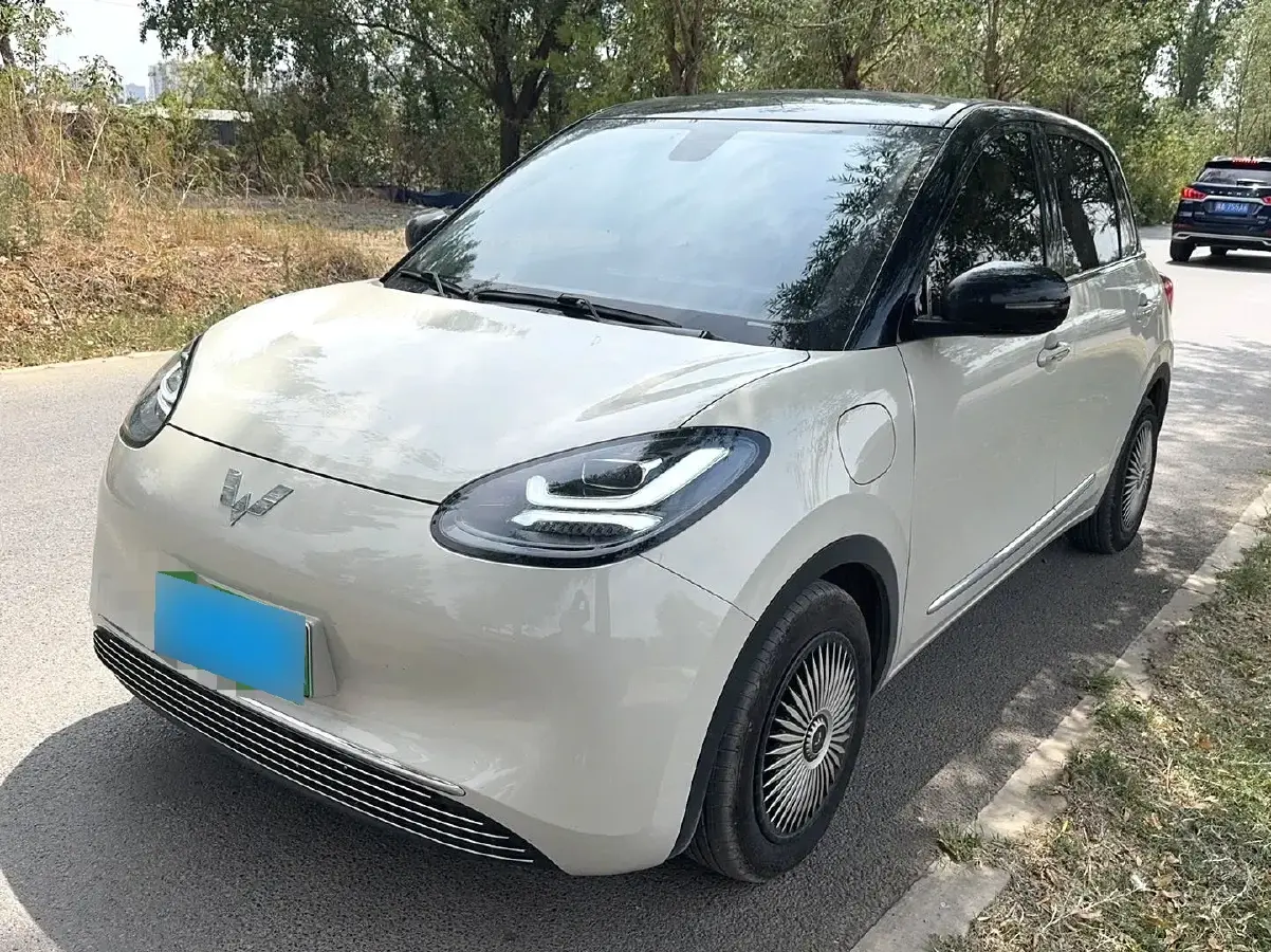 2023 WuLing BinGuo BEV 37.9KWH
