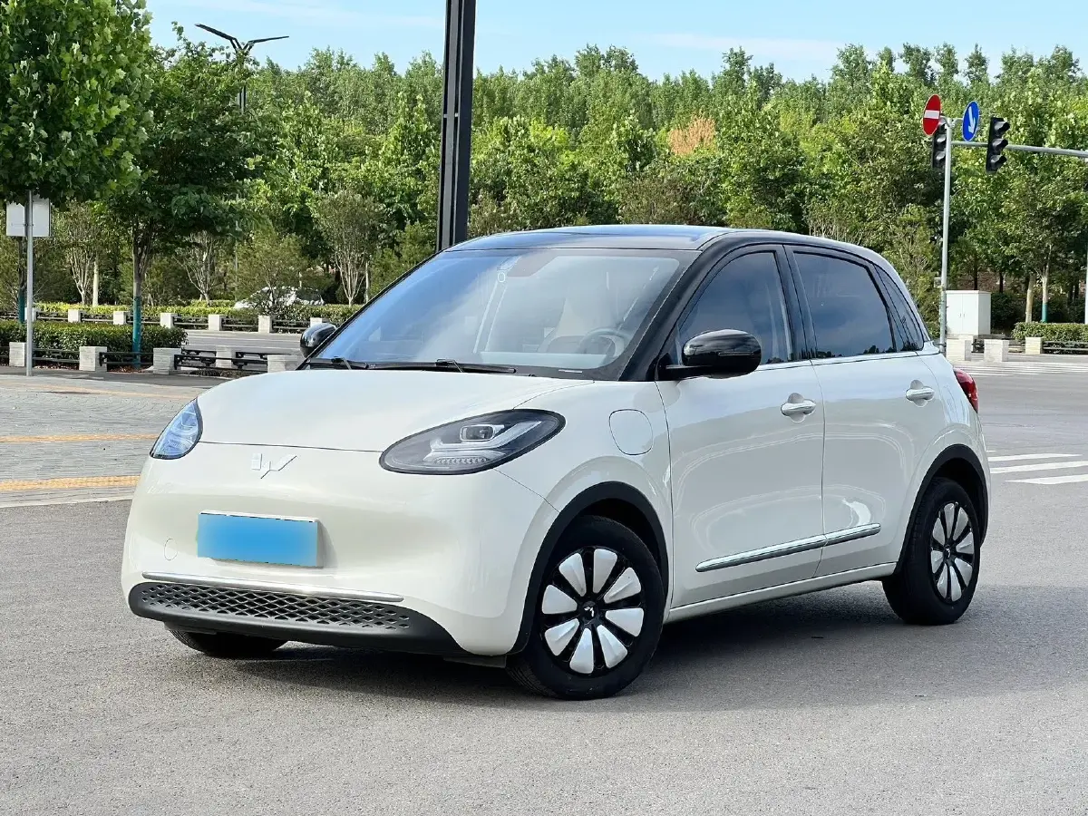 2023 WuLing BinGuo BEV 37.9KWH