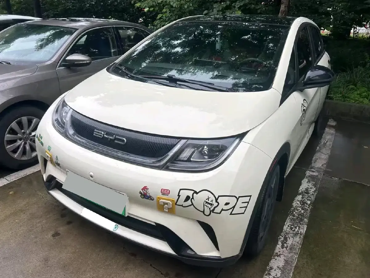 2023 BYD Dolphin BEV 44.928KWH