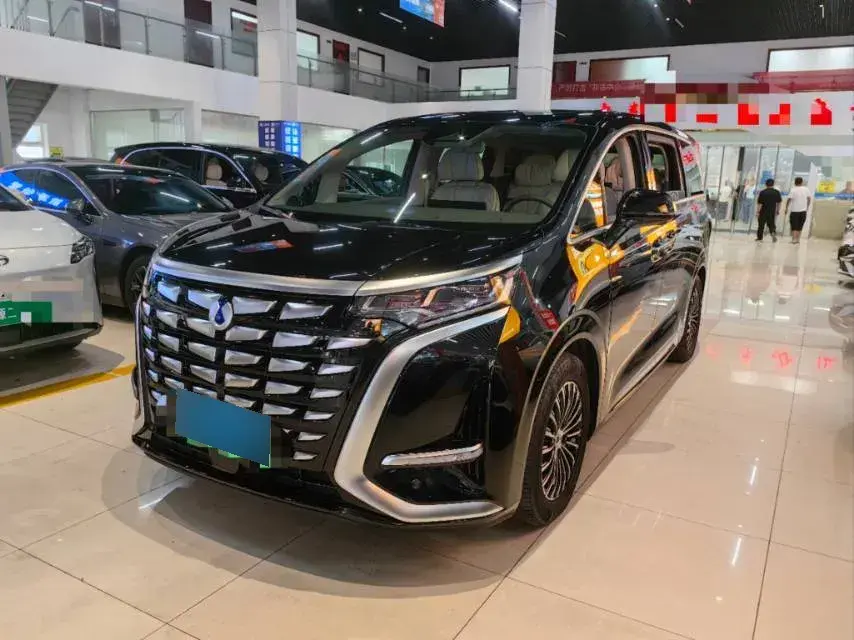 2022 Denza D9 1.5T 139HP L4 E-CVT PHEV 40.06KWH