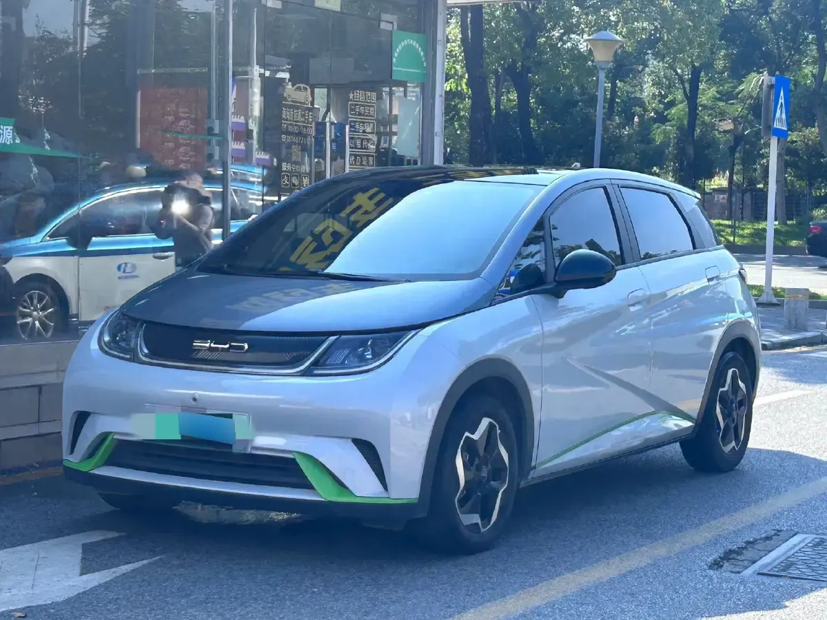 2021 BYD Dolphin BEV 44.9KWH