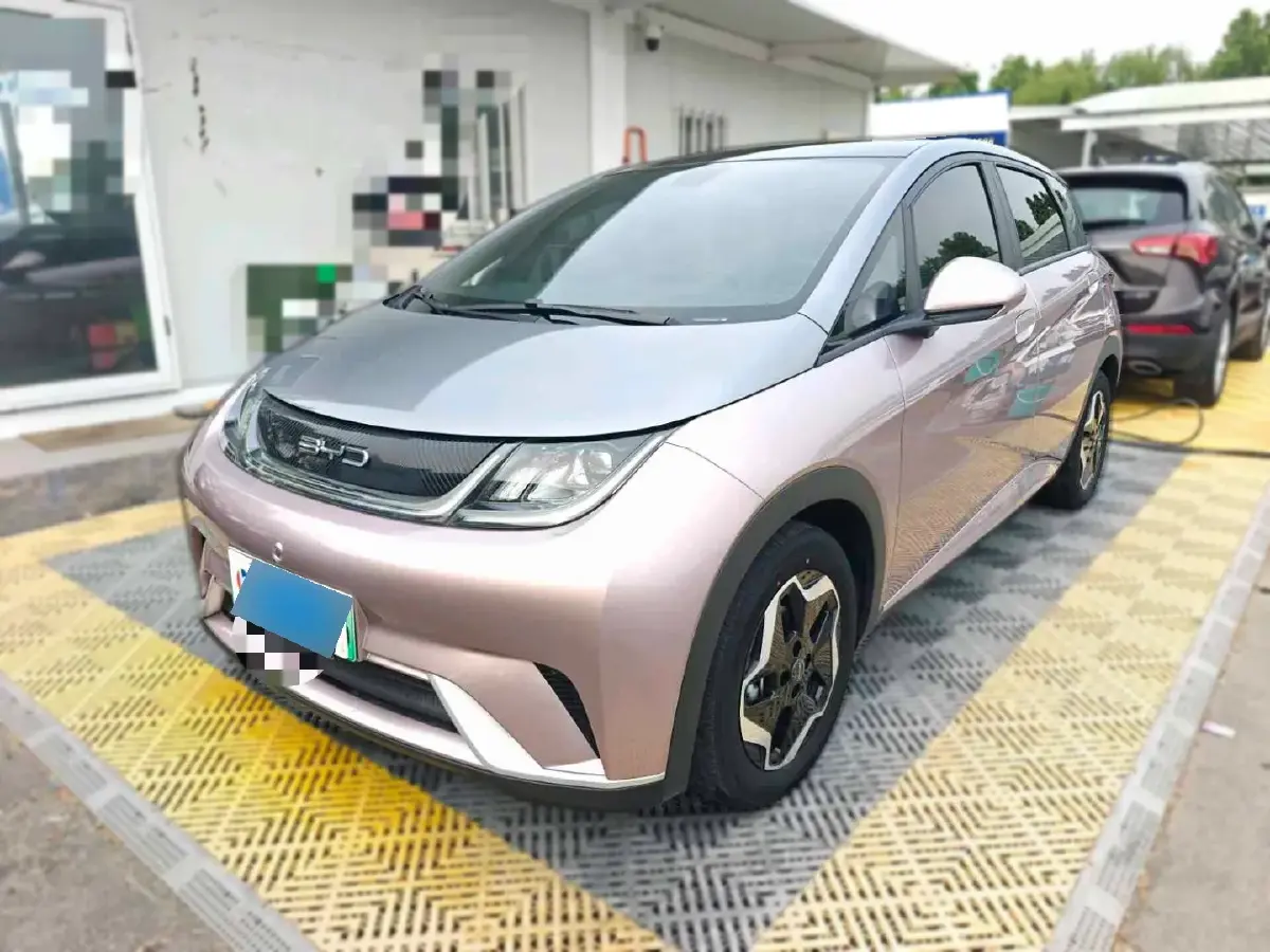 2021 BYD Dolphin BEV 44.9KWH