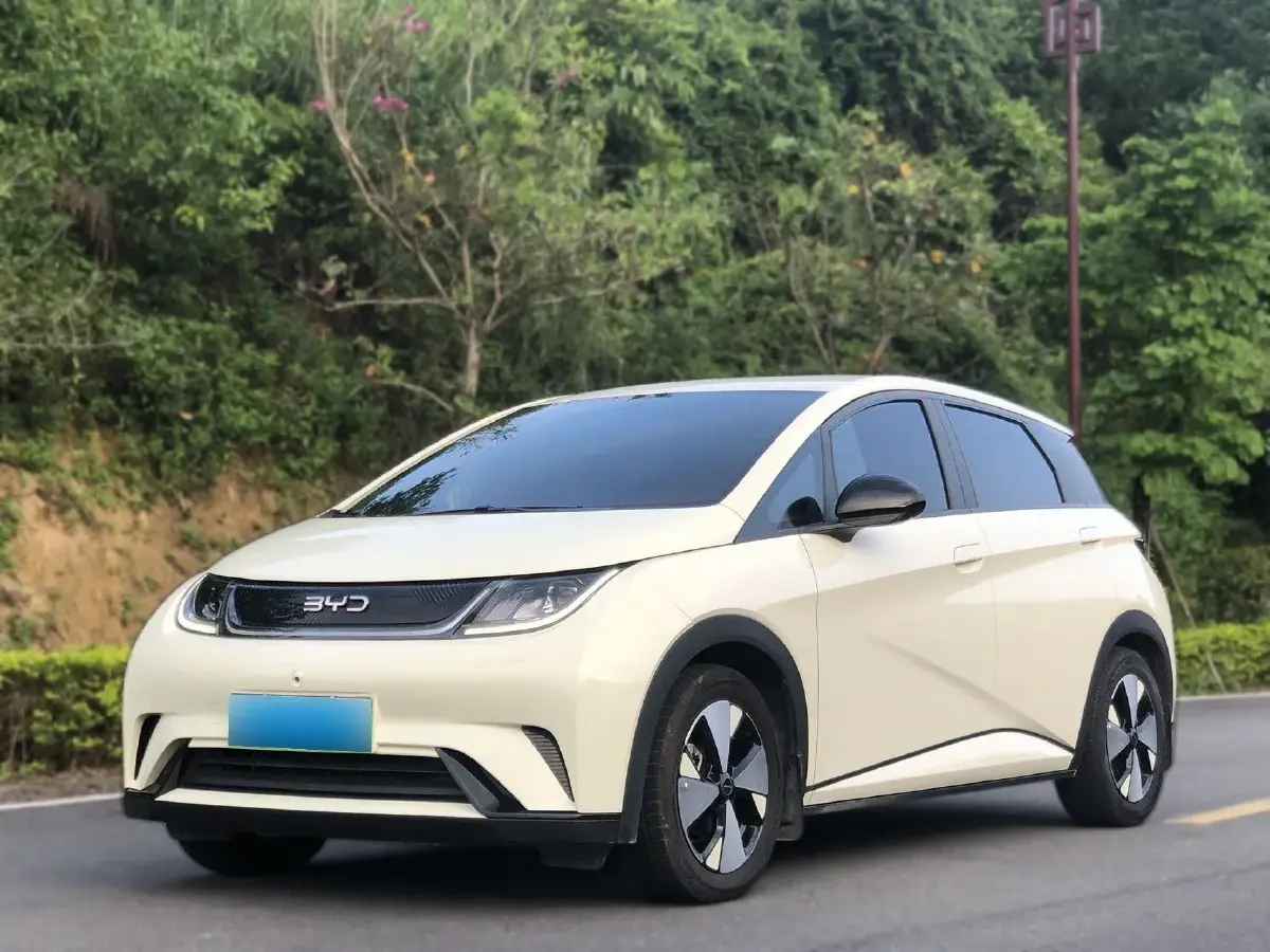 2023 BYD Dolphin BEV 44.928KWH