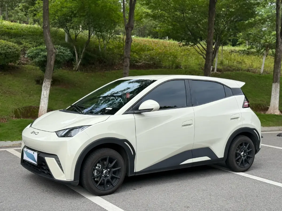 2025 BYD Seagull BEV 30.08KWH