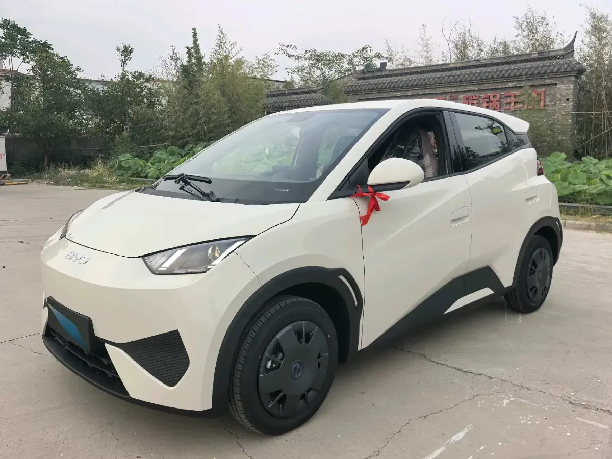 2025 BYD Seagull BEV 30.08KWH