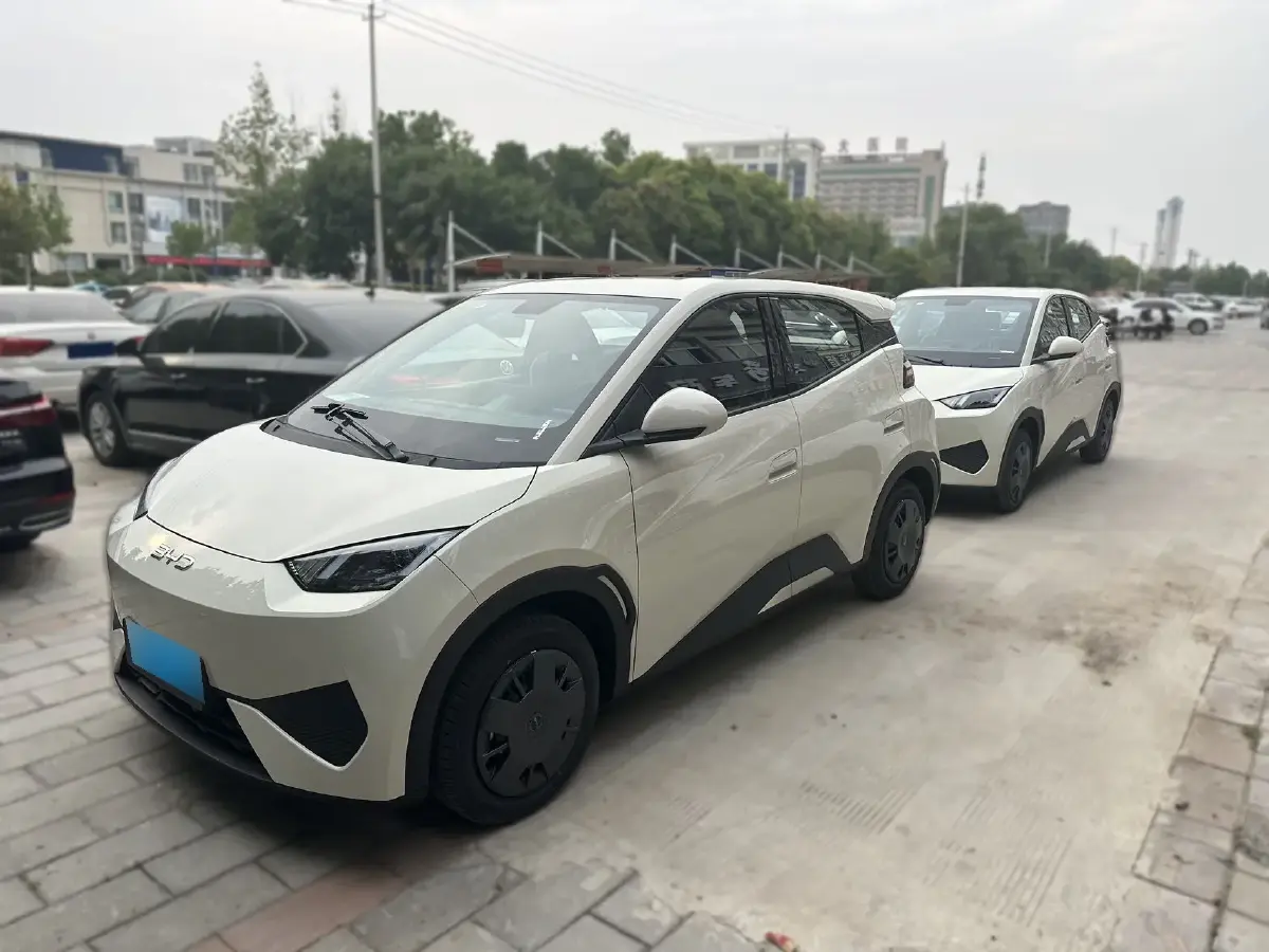2025 BYD Seagull BEV 30.08KWH