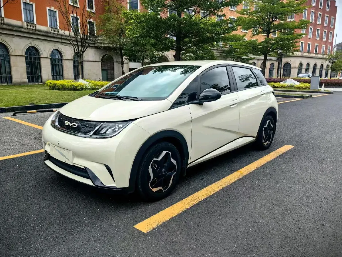 2021 BYD Dolphin BEV 44.9KWH