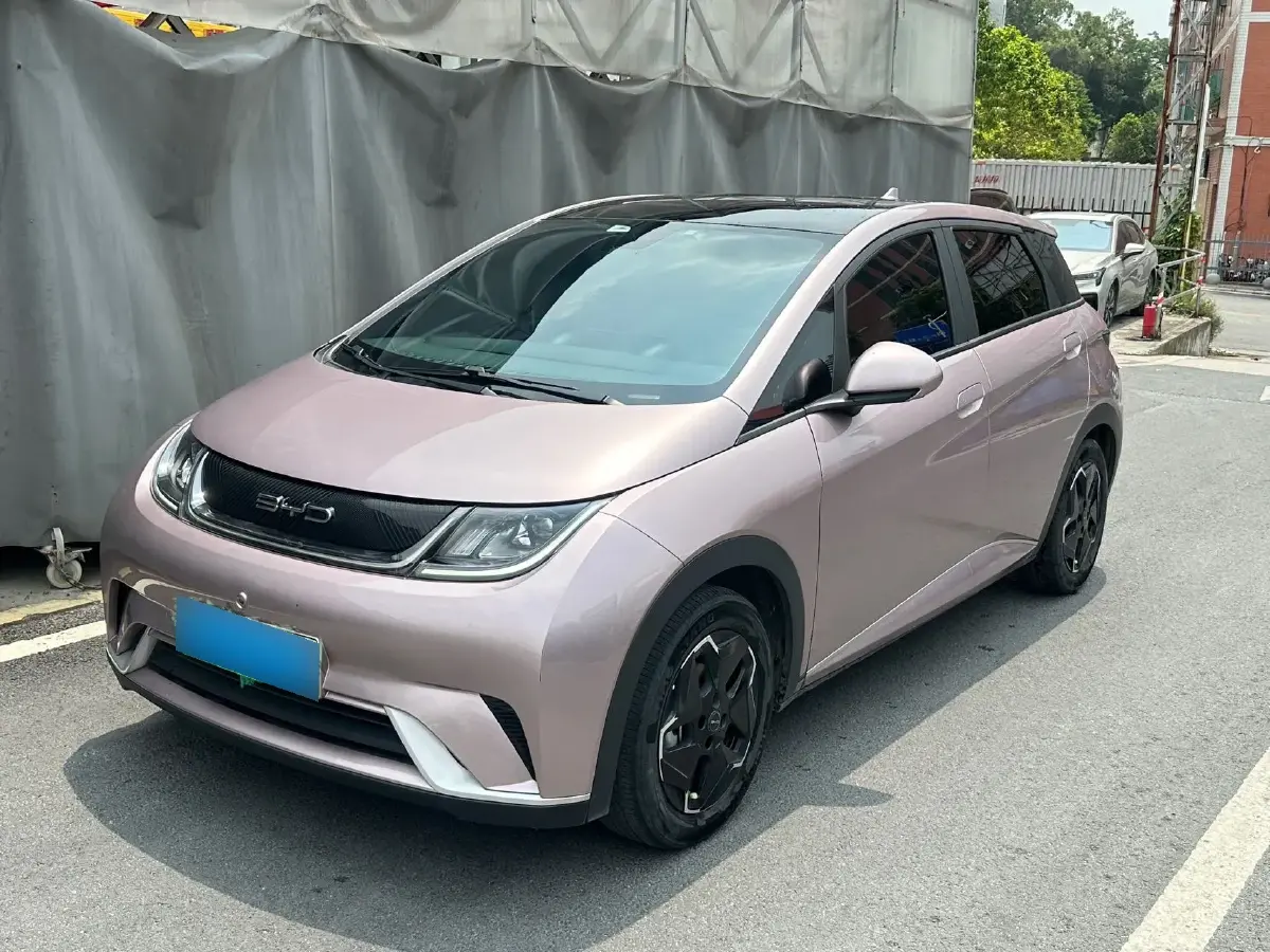 2021 BYD Dolphin BEV 44.9KWH
