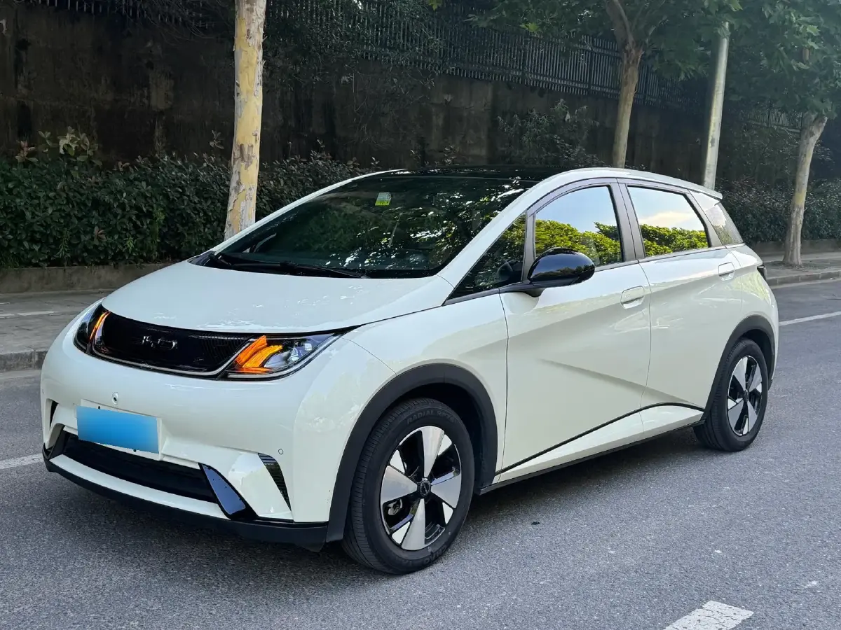 2023 BYD Dolphin BEV 44.928KWH
