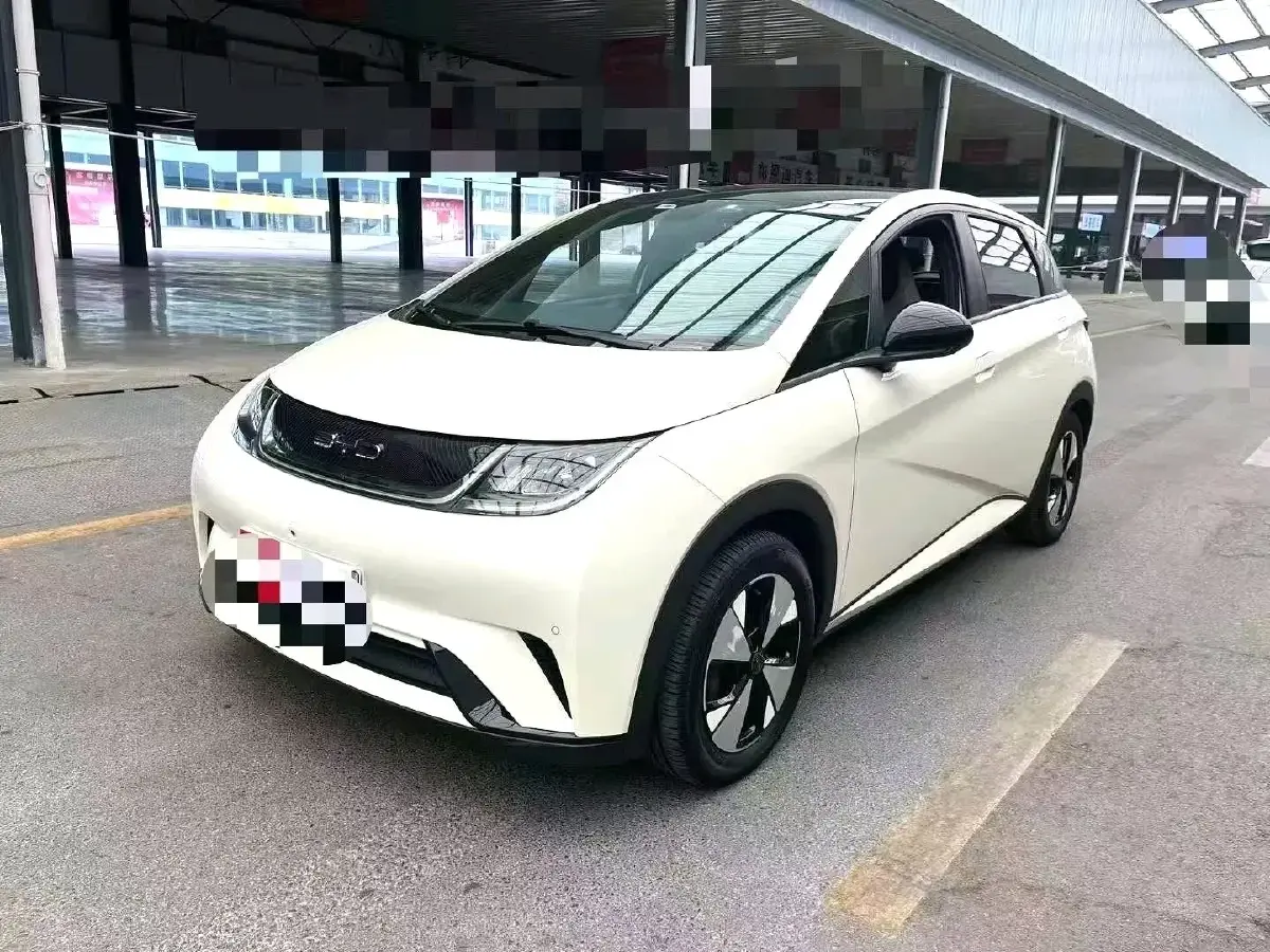 2021 BYD Dolphin BEV 44.9KWH