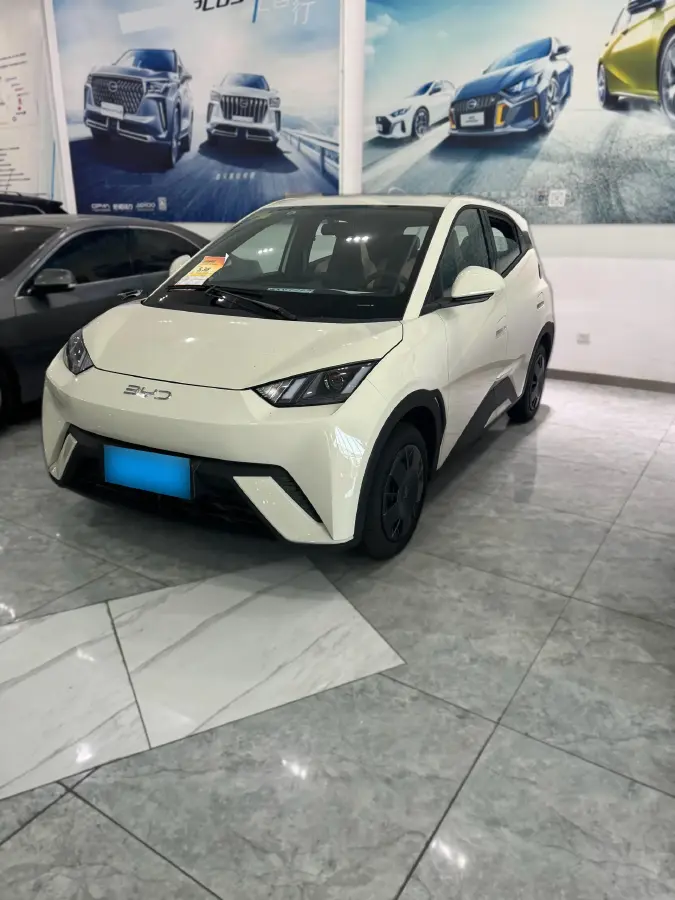 2025 BYD Seagull BEV 30.08KWH