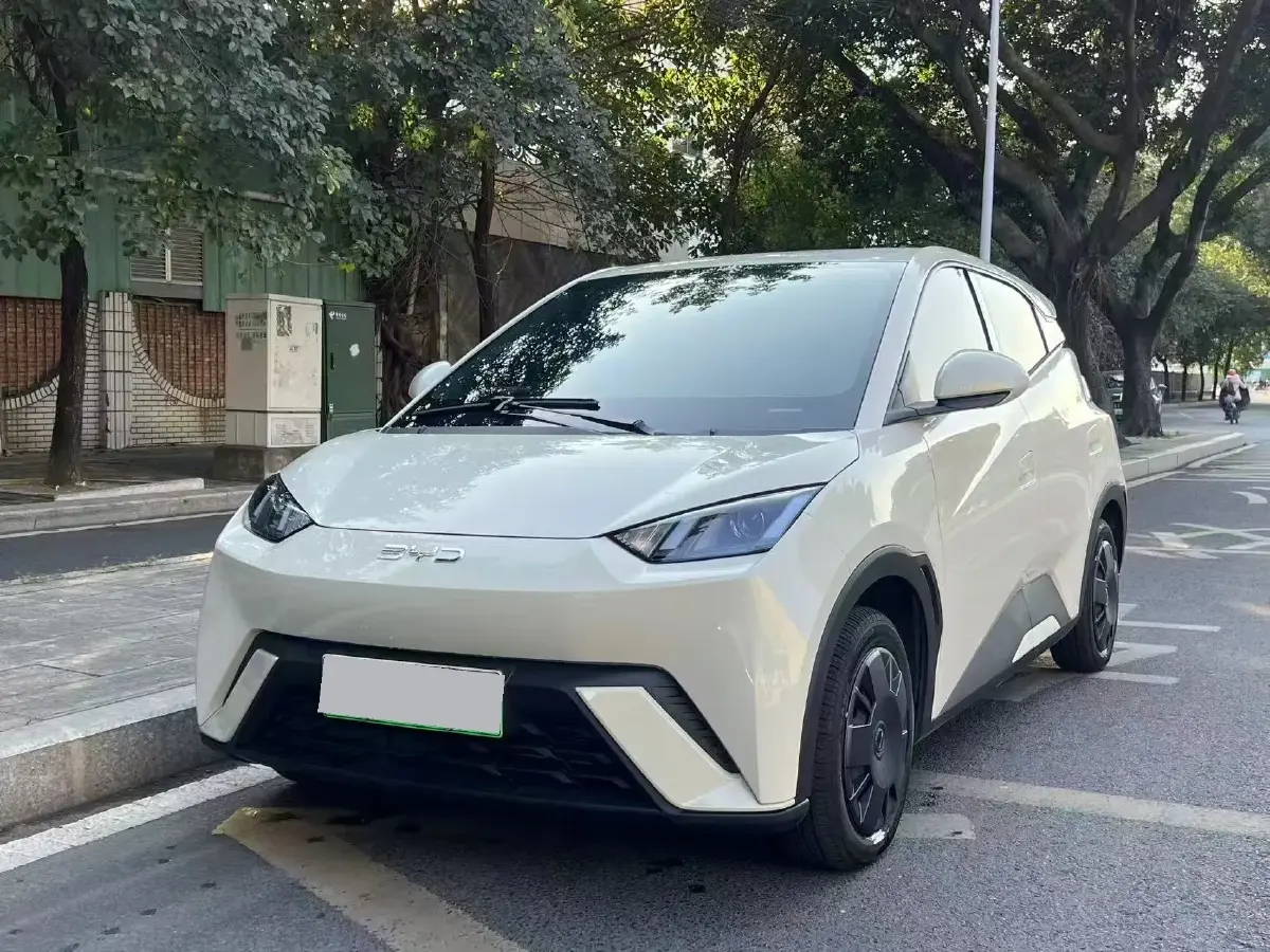 2024 BYD Seagull BEV 30.08KWH