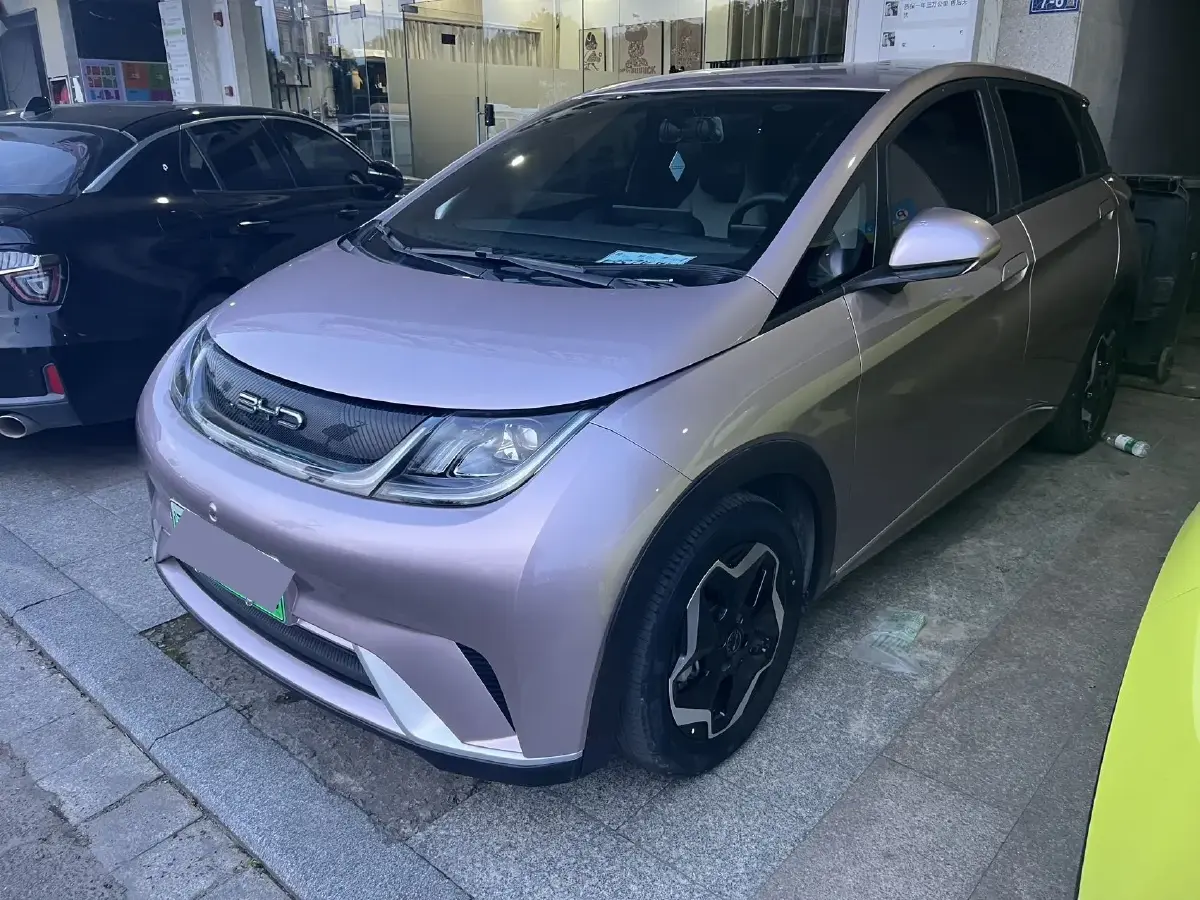 2021 BYD Dolphin BEV 44.9KWH