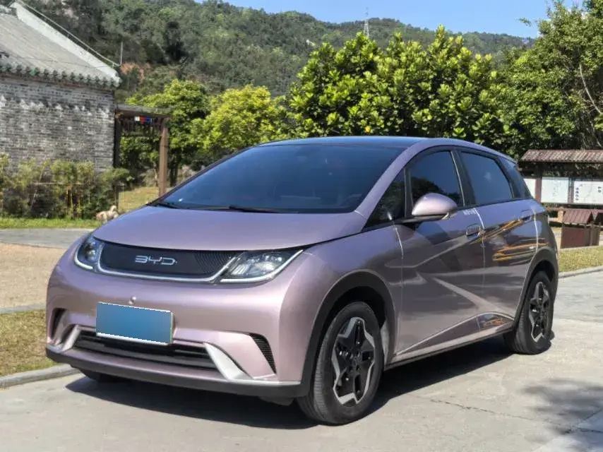 2021 BYD Dolphin BEV 44.9KWH