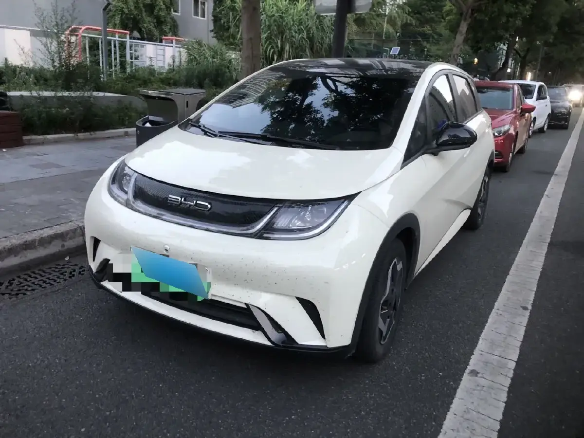 2021 BYD Dolphin BEV 44.9KWH