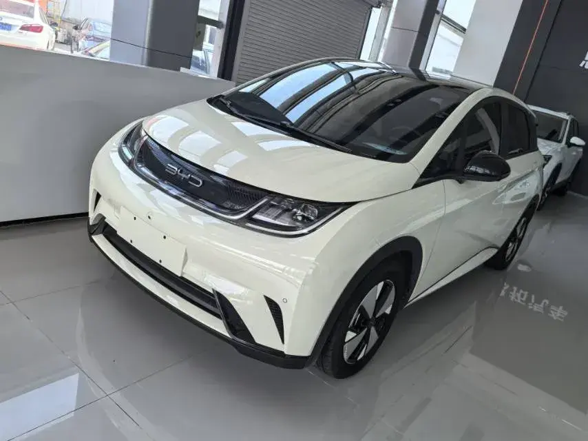 2024 BYD Dolphin BEV 44.928KWH