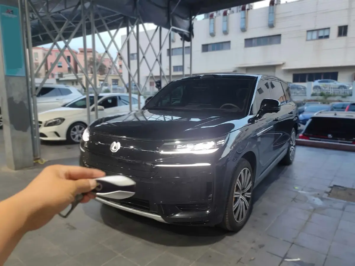 2025 Denza DenzaN9 2.0T 207HP L4 E-CVT PHEV