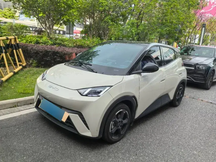 2024 BYD Seagull BEV 30.08KWH