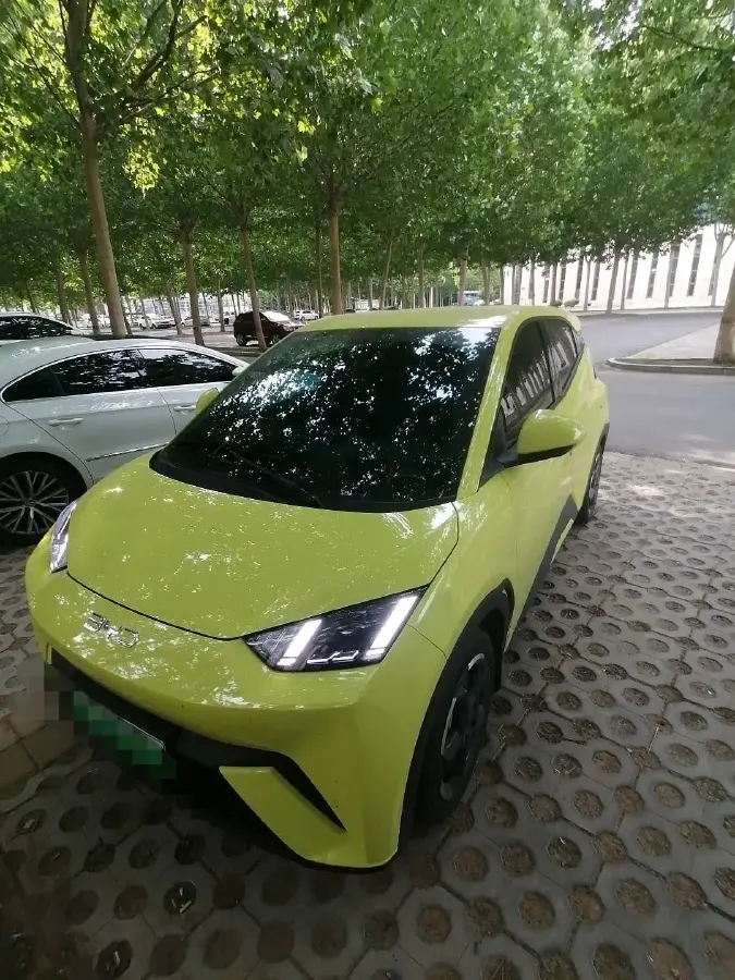 2024 BYD Seagull BEV 38.88KWH