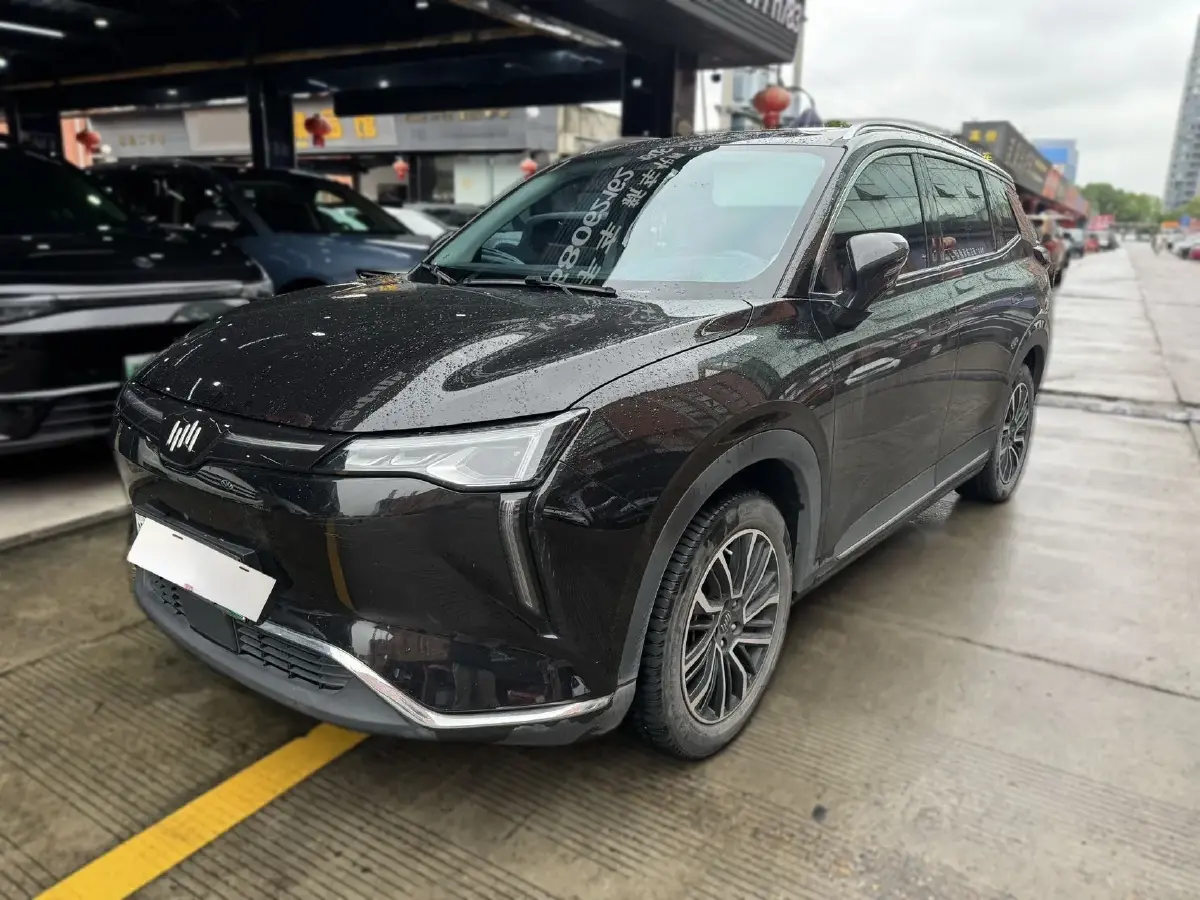 2021 Weltmeister W6 BEV 66.231KWH