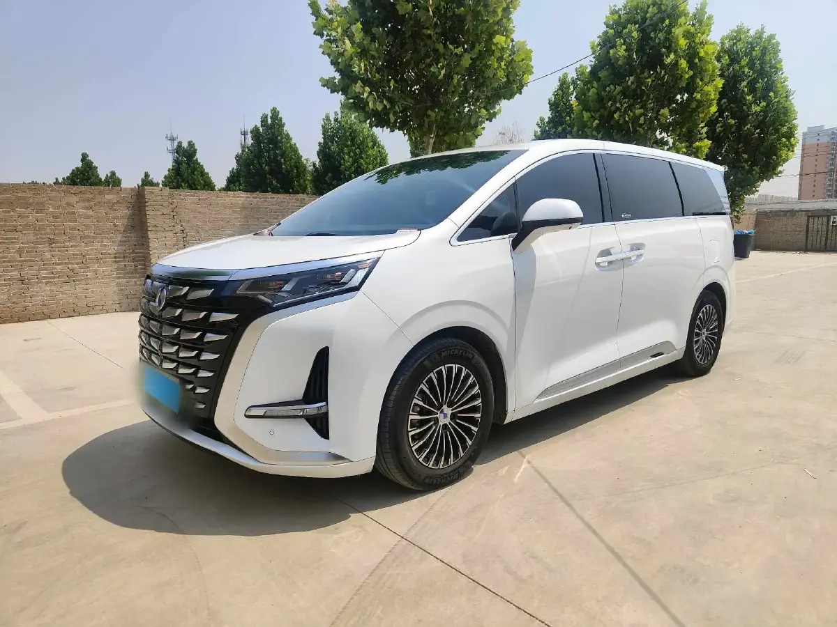 2022 Denza D9 1.5T 139HP L4 E-CVT PHEV 40.06KWH