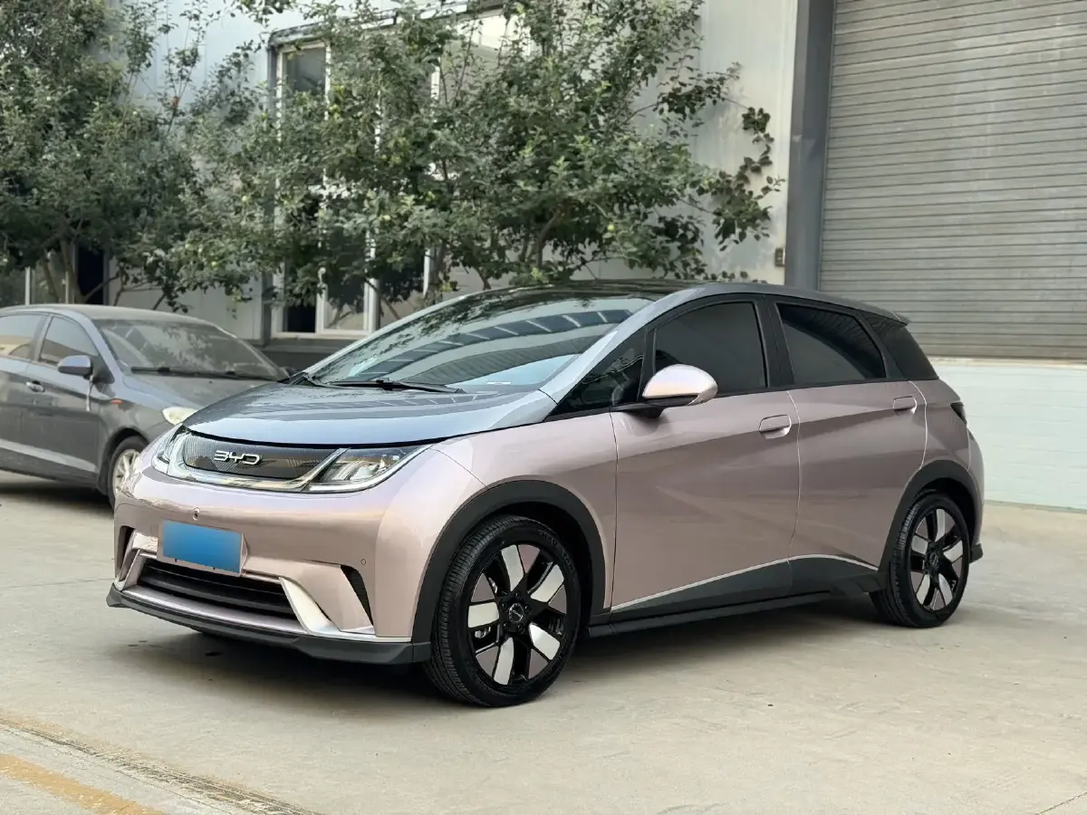 2023 BYD Dolphin BEV 44.928KWH
