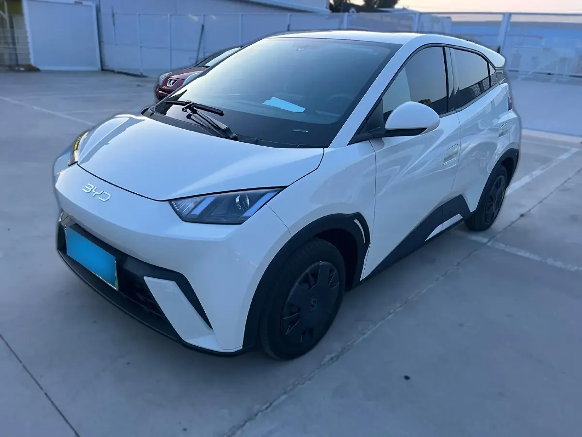2024 BYD Seagull BEV 30.08KWH