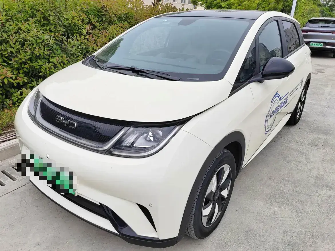 2024 BYD Dolphin BEV 44.928KWH