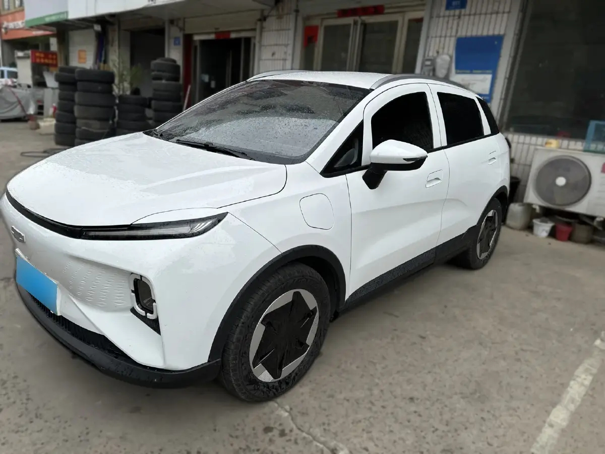 2024 Geometry E BEV 29.67KWH