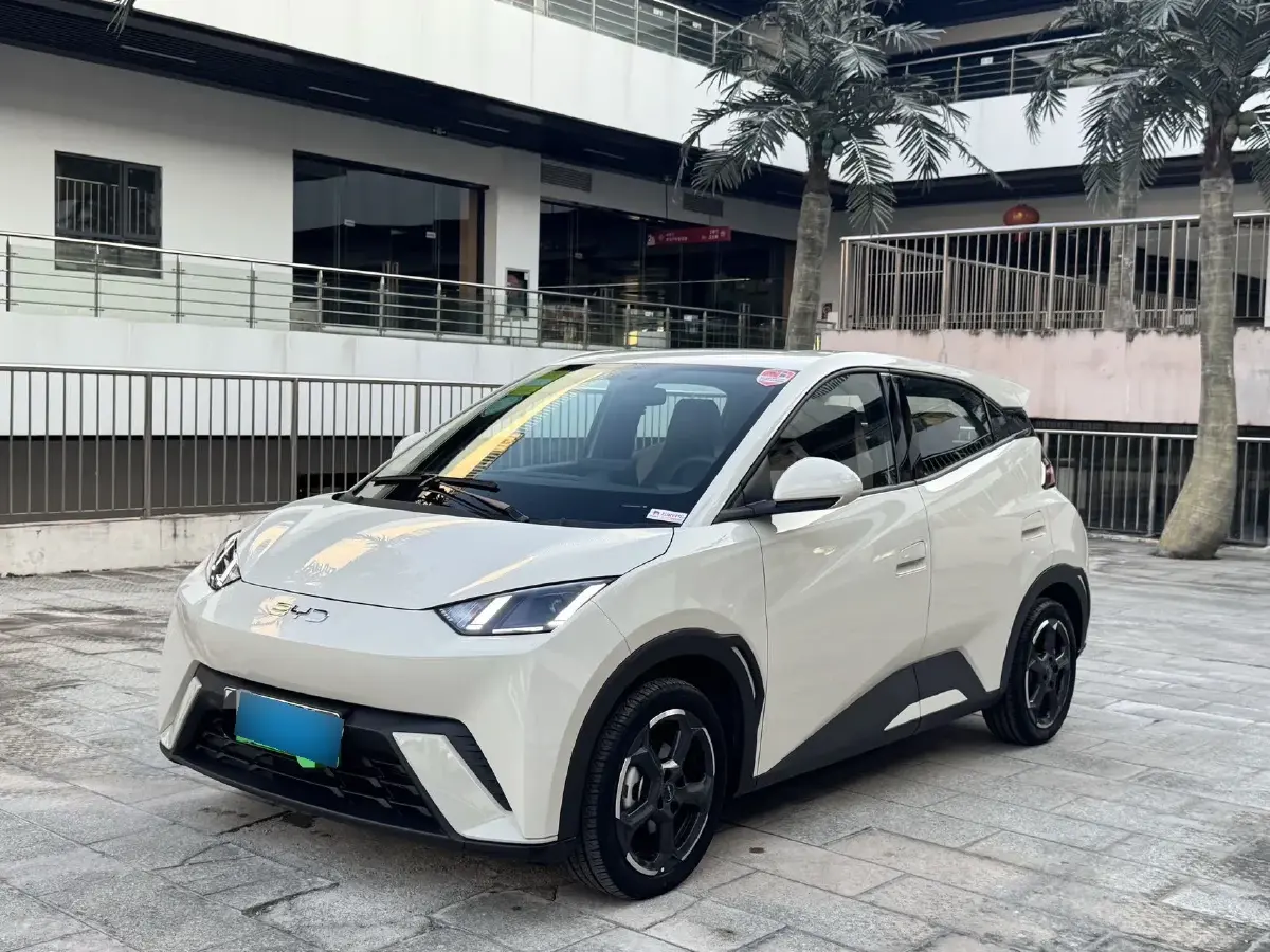 2024 BYD Seagull BEV 38.88KWH