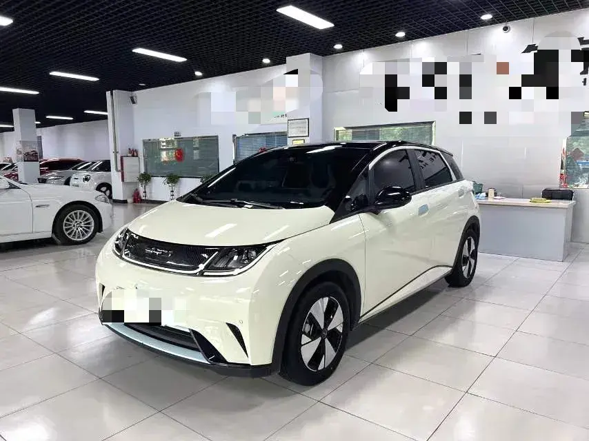 2023 BYD Dolphin BEV 44.928KWH