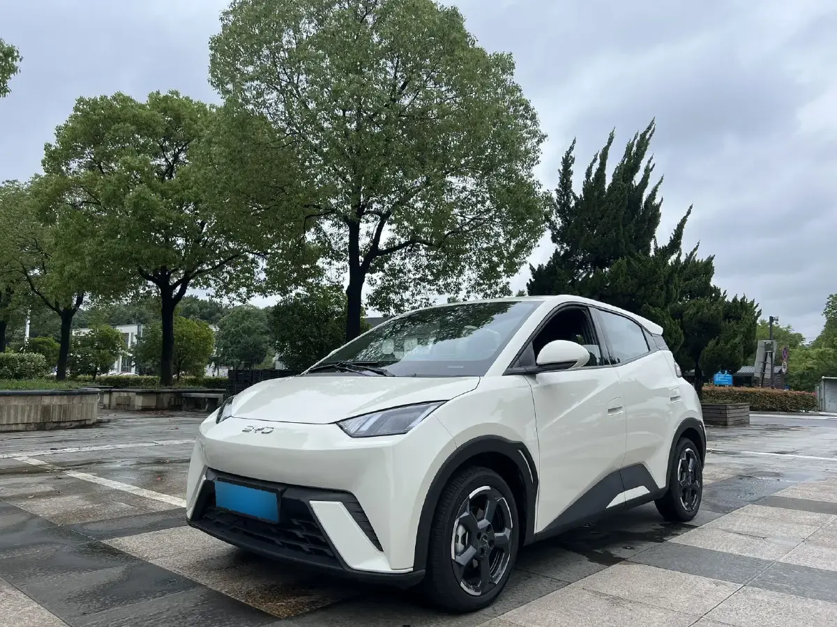 2024 BYD Seagull BEV 38.88KWH